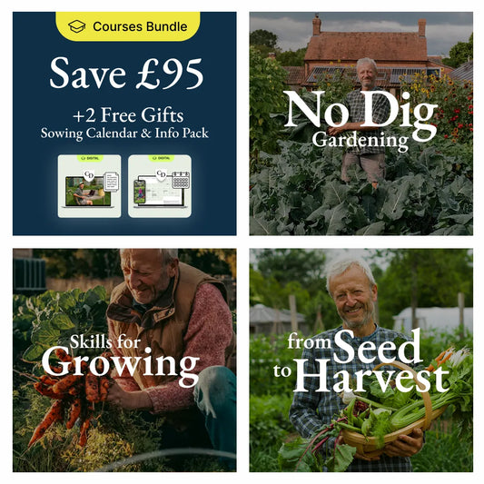 3-course bundle + 2 free gifts – digital Sowing Calendar and Useful Info pack