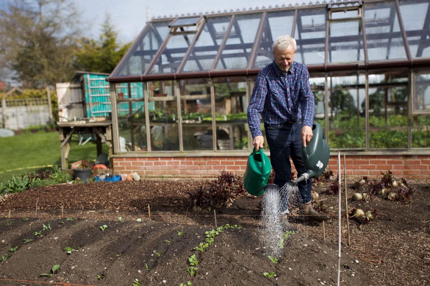 El cultivo no dig para principiantes: curso en línea