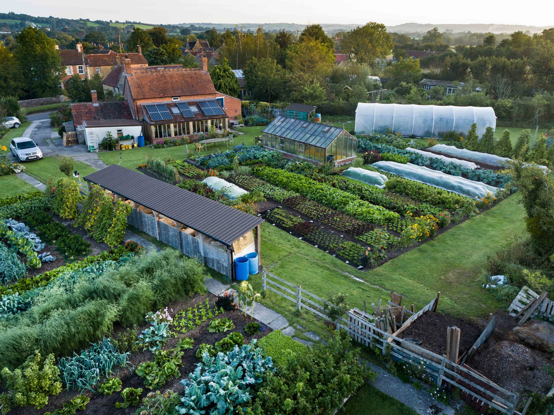 Mid September sow & plant, no dig & nutrients, squash maturity, myths, harvests