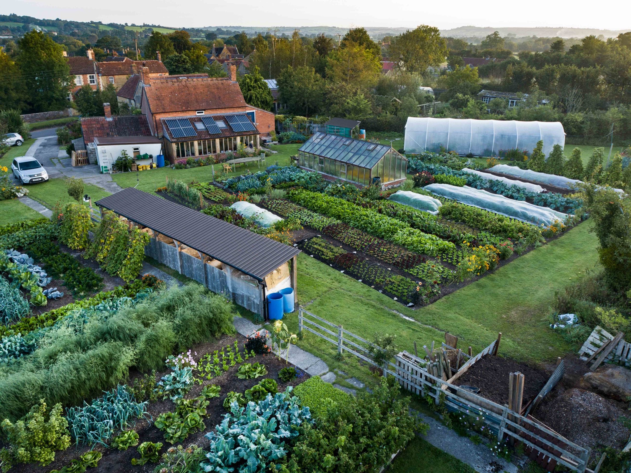 Mid September sow & plant, no dig & nutrients, squash maturity, myths, harvests