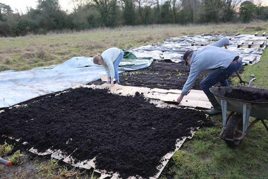 Mid February 2021 new no dig beds, new course details, sowing in milder areas, no dig clothes