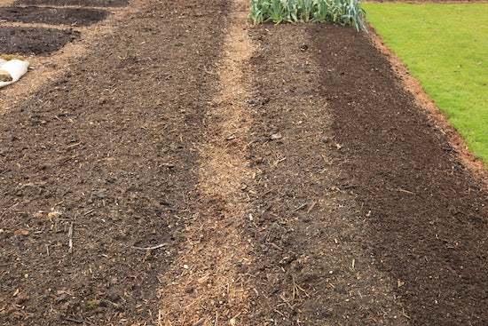 March 2021 new no dig gardens, starting seeds, potting composts and trays