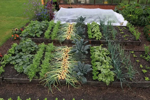 Dig/No Dig Trial 2013–18