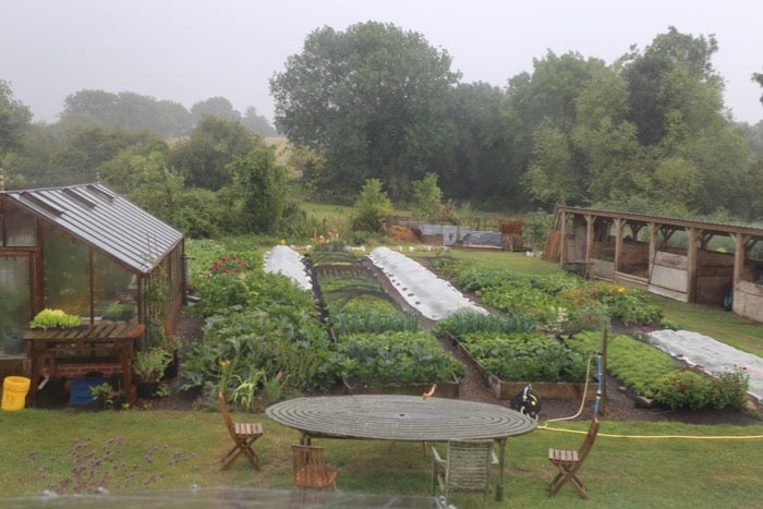 August 2019 summer winds down, open day, no dig transformation, insect problems, new no dig beds, onions