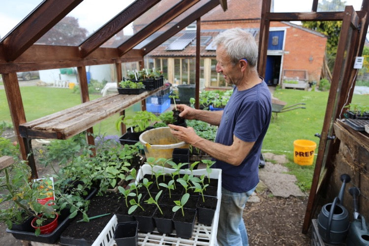 May 2019 spring garden beware late frosts, potting on, small spaces, perennial veg