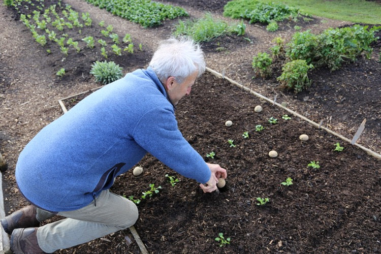 March update 2019 - sow, plant, winter veg, new online course