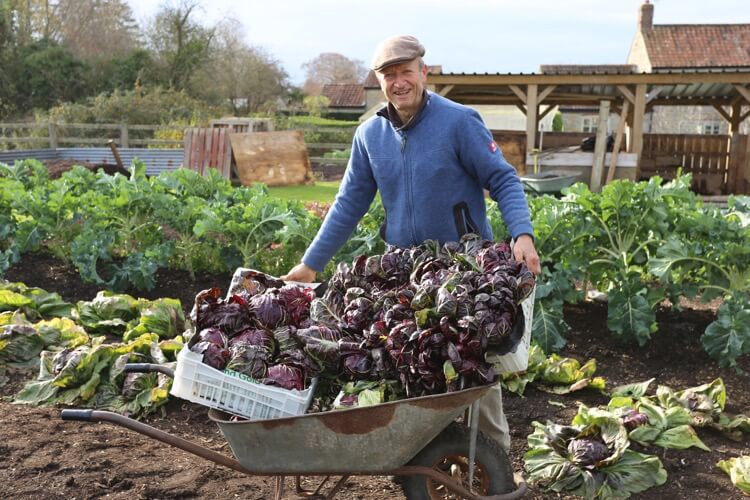 December 2018 advantages of no dig, harvests for winter, trial results, compost heaps