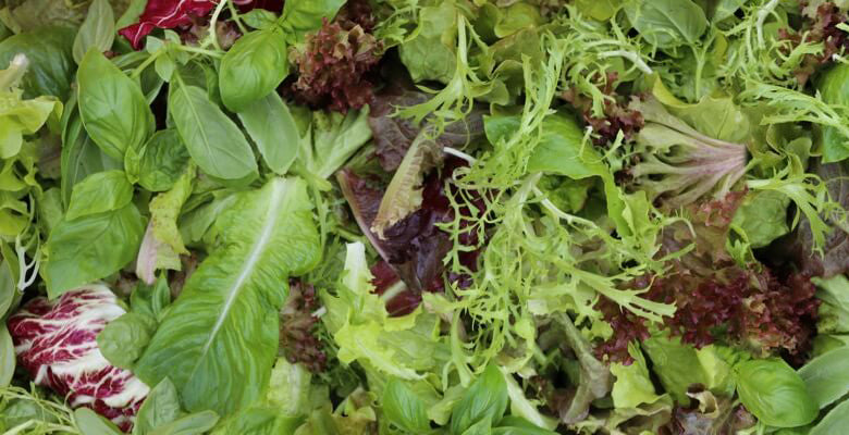 September 18 easier watering no dig, plant and sow now, interplant, sweet pepper success