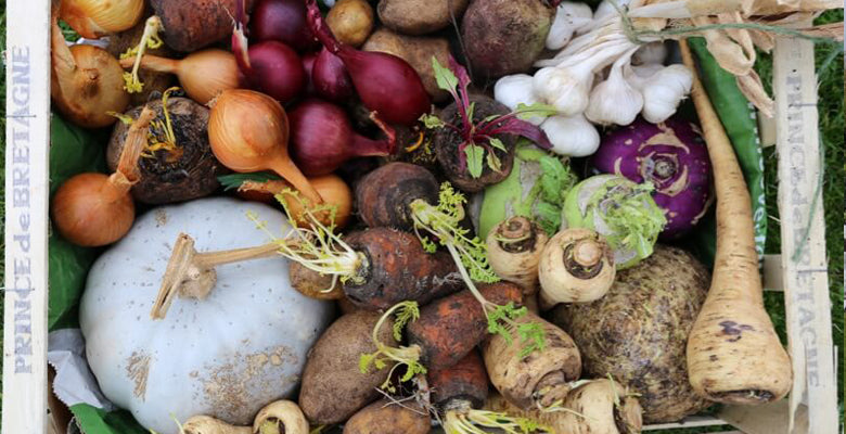 April 2018 mid month: propagation, planting tips, make compost, weather damage, picking salad leaves