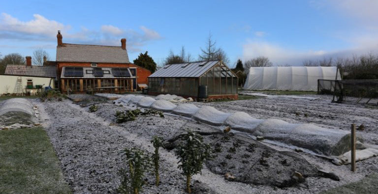 February 2018: mulching with compost, few weeds, winter veg outside, first sowings, myth of the month