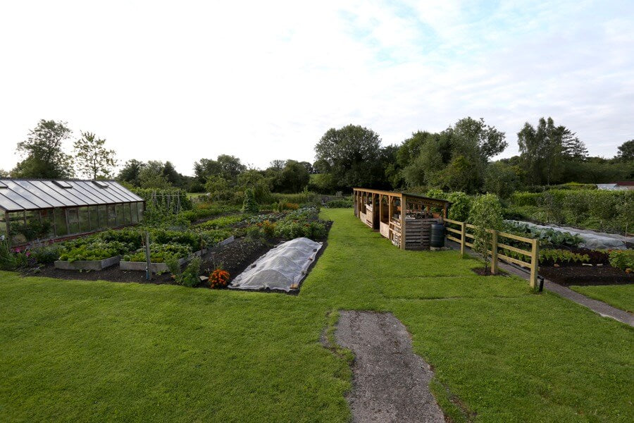 August 2017 summer plantings, no dig trials, weed free, onions, potatoes, tomatoes, lettuce