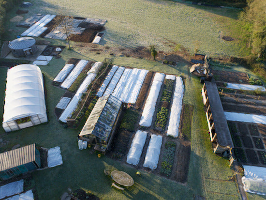 May 2021, coping with cold weather and perennial weeds, new seedings new harvests, woodchip