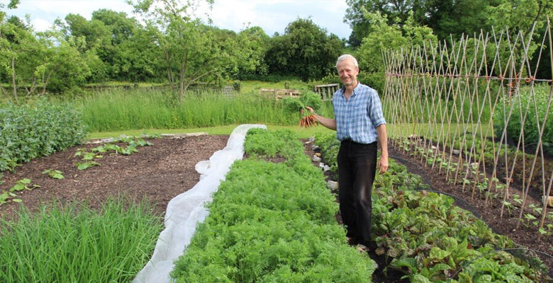 June 2017, seed quality, no dig speed, pests to watch for, compost and manure heaps