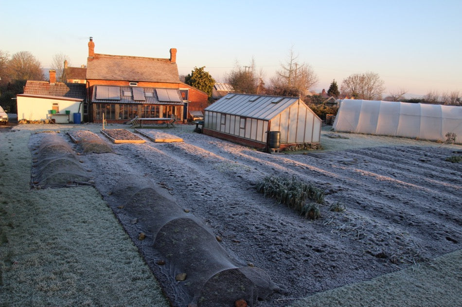 February 2017 salads, slow sow, Kew Gardens, Q&A, Wikihow