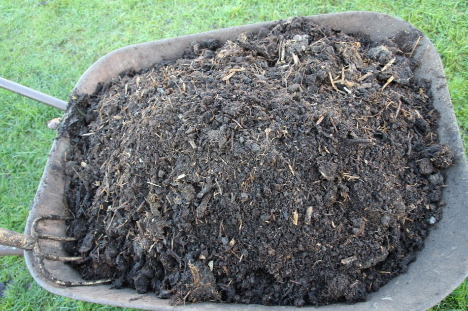 January 2017 soil care, compost quality, no sowing yet!