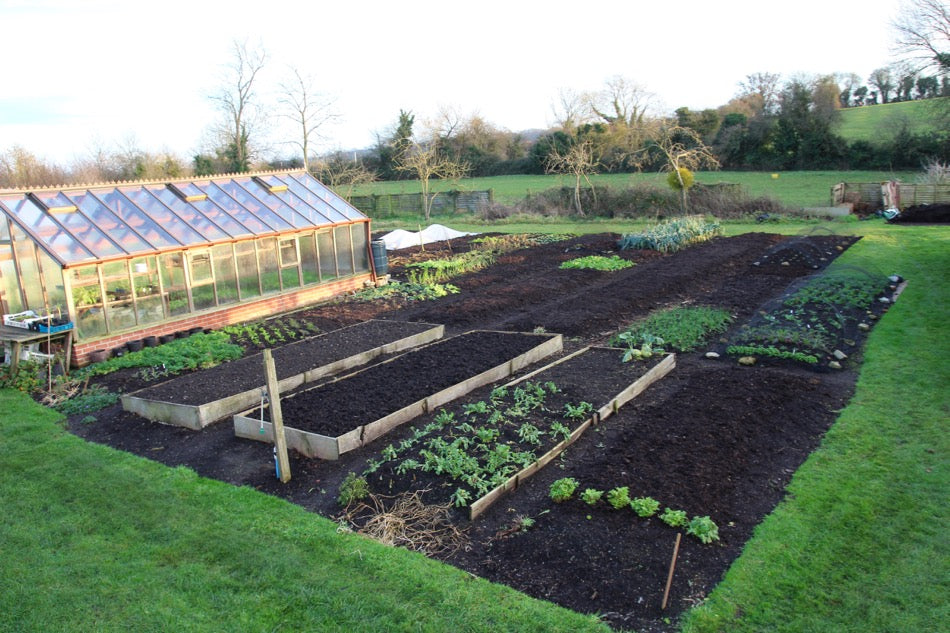 December update, easy soil preparation, salads, Brussels