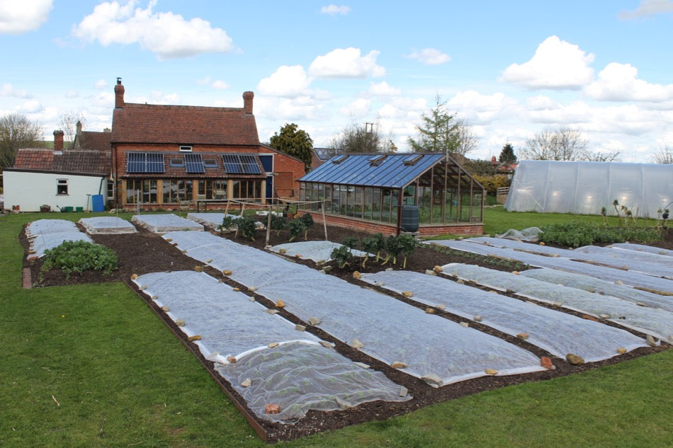 Mid April update 2016