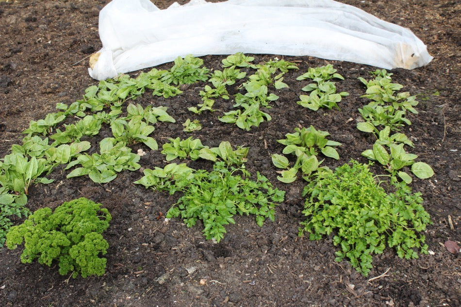 March 2016 heralds a delayed spring