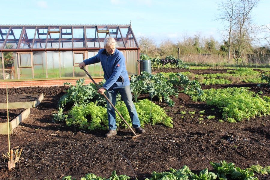 Christmas 2015, no dig veg growing