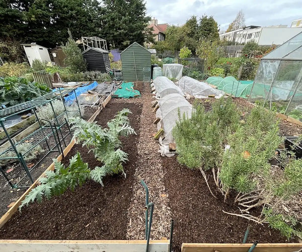 Allotments