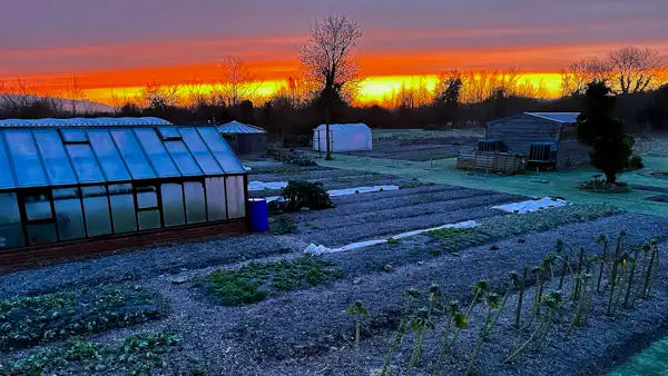 March 2024 Exciting possibilities