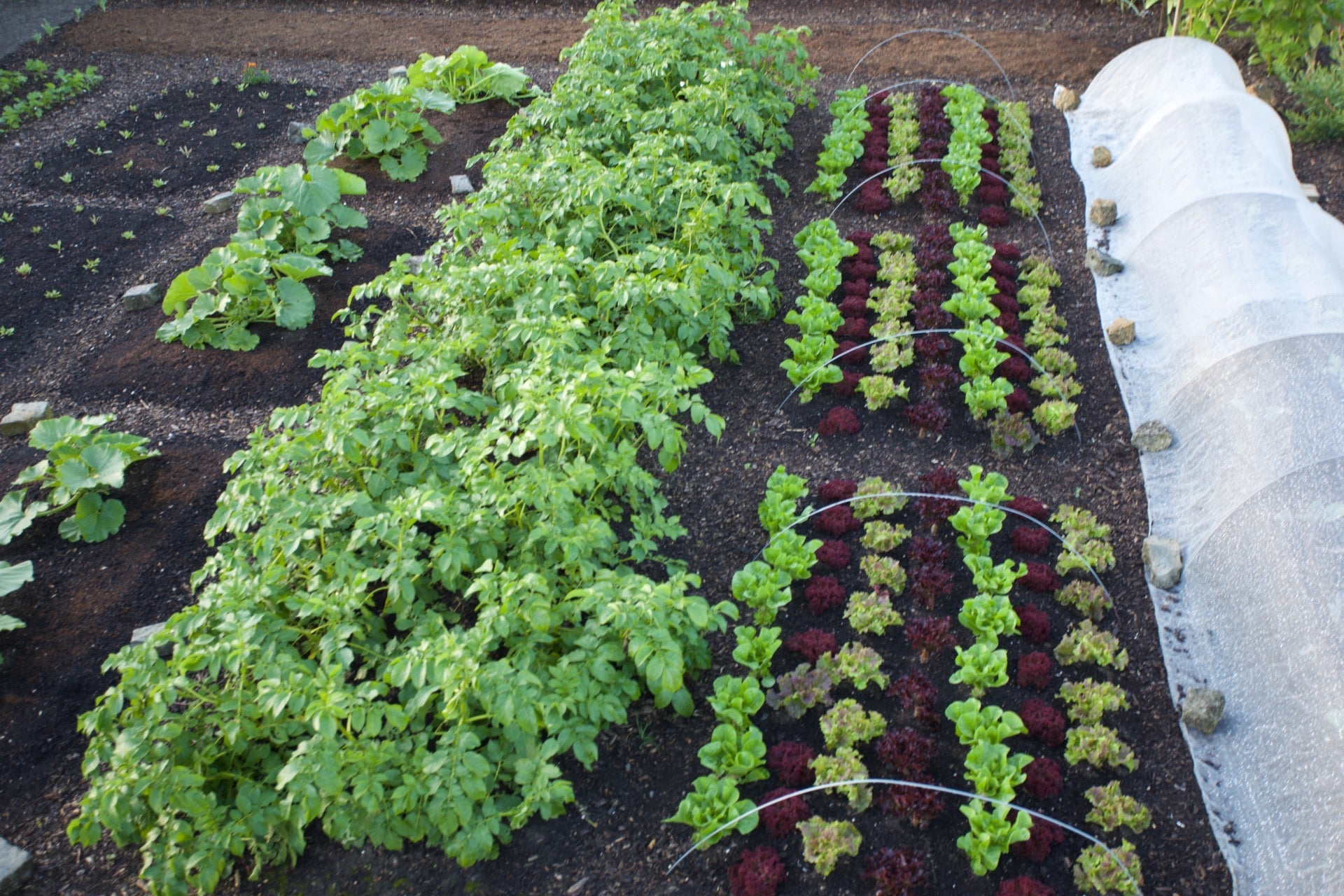 July 2024 starts cool