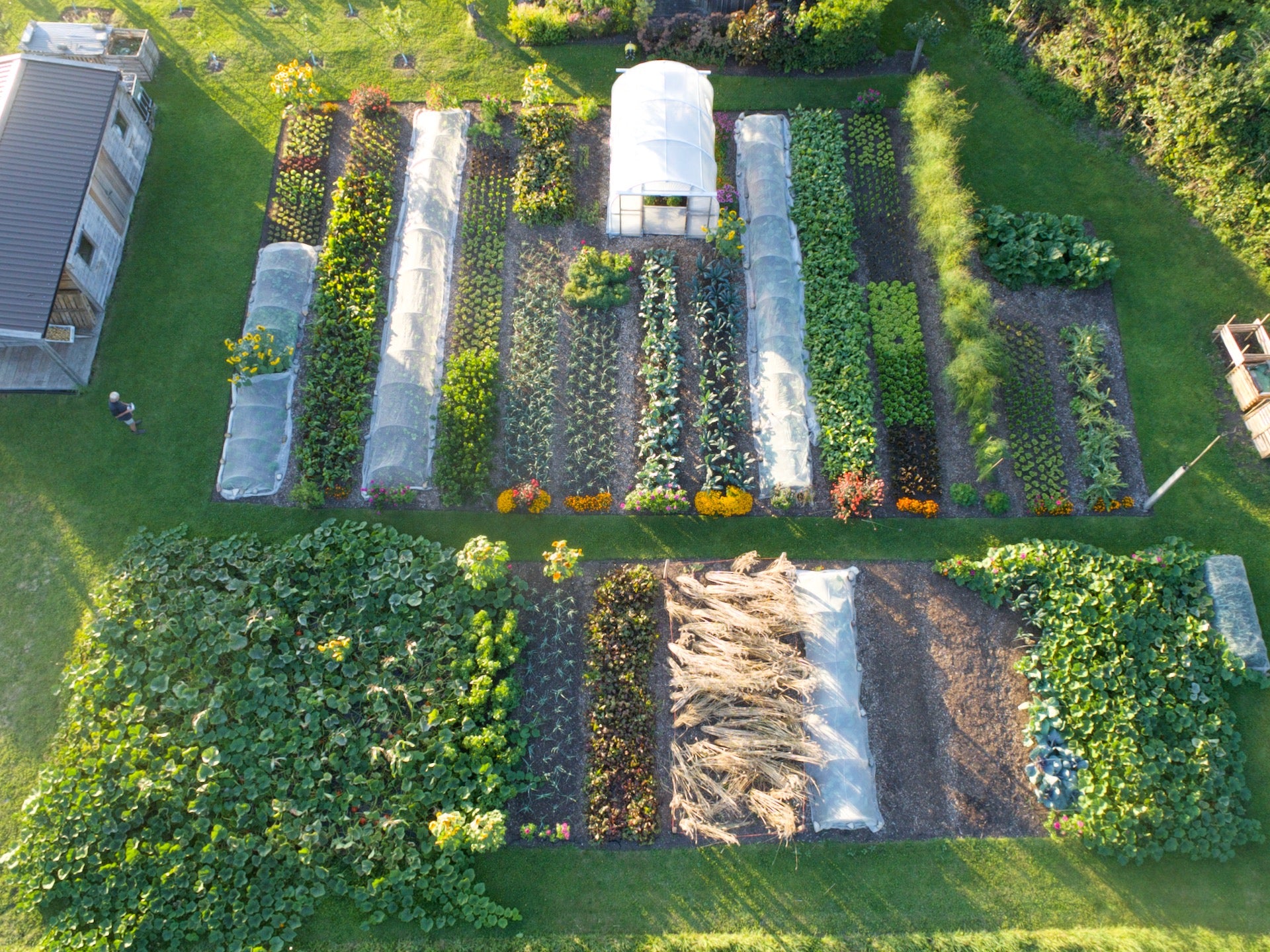 Late August - Early September