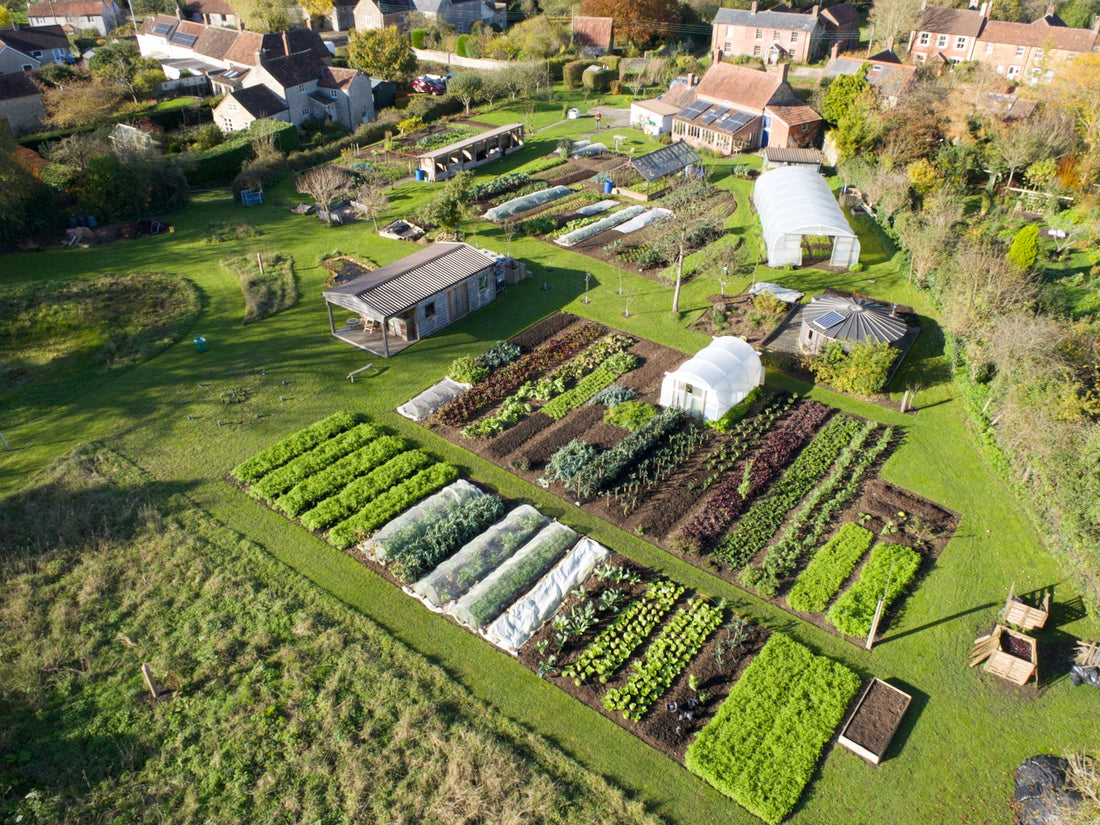 Thresholds of winter