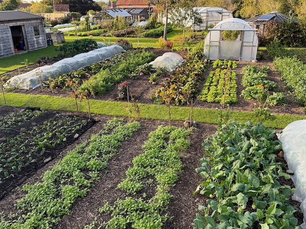 The biggest tipping point, how to enjoy more harvests as we enter the dark period