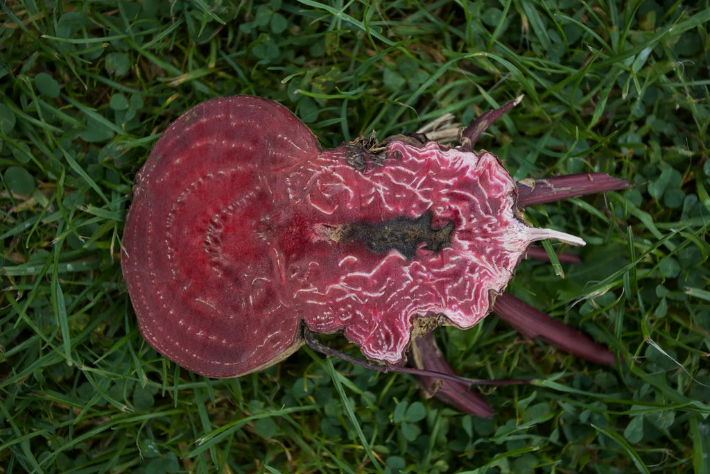 New Energies for Gardening