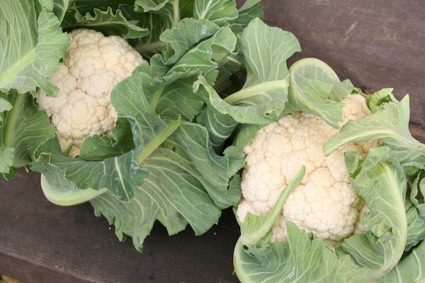 Cauliflower & Kohlrabi