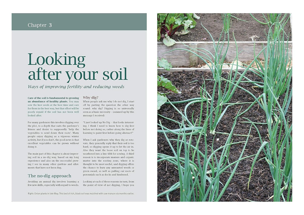 How to Grow Winter Vegetables: Planning and Planting for the Hungry Gap