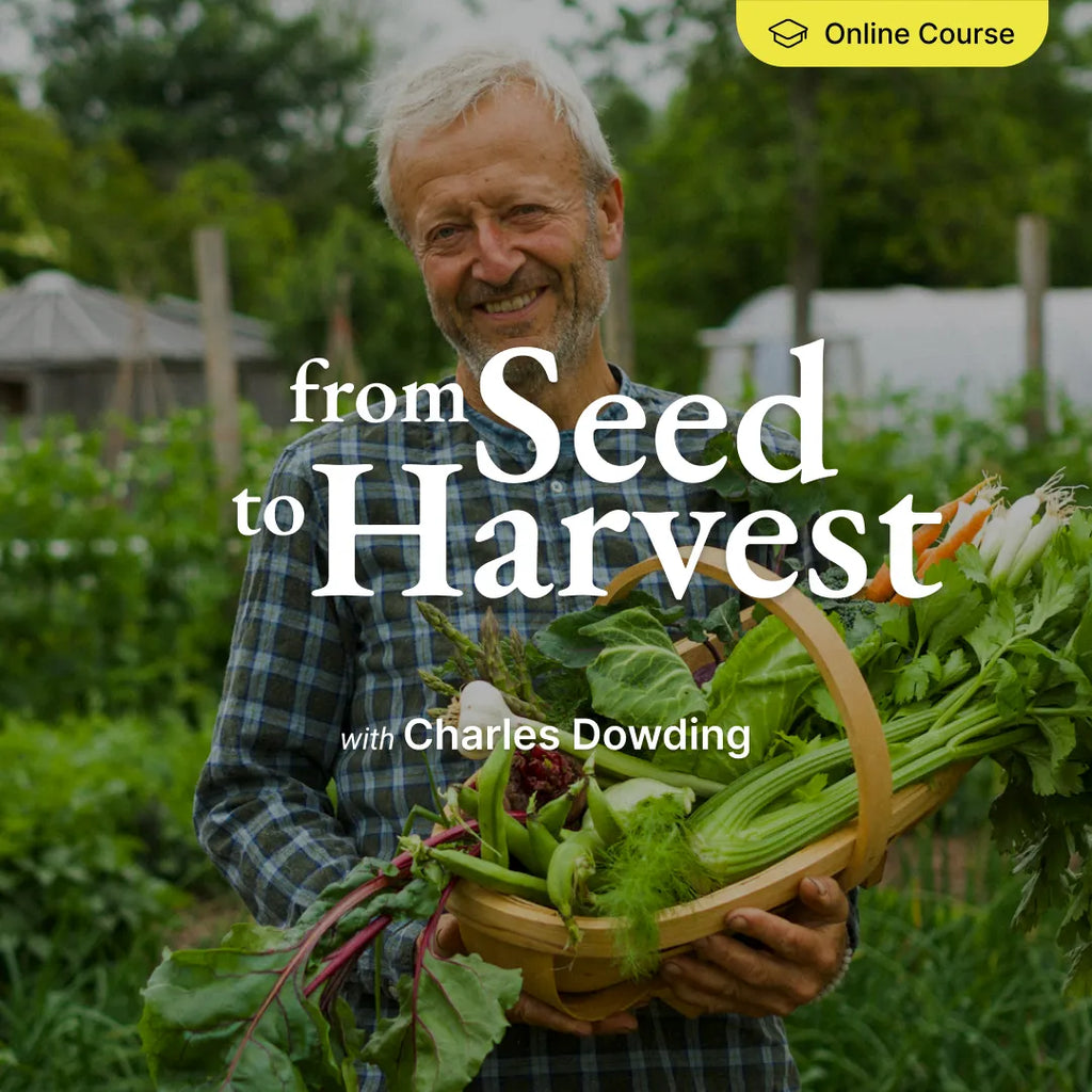 From Seed To Harvest - Online Course