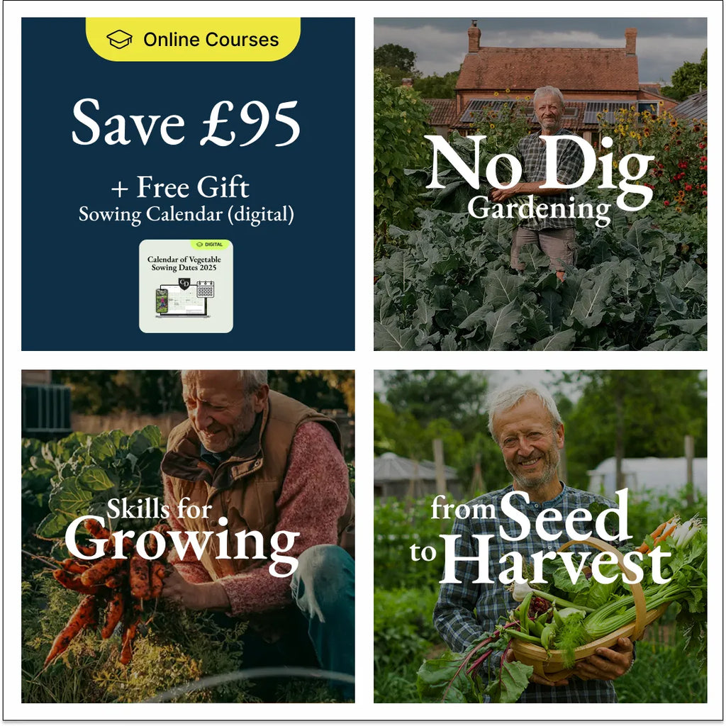 3-course bundle + free digital Sowing Calendar