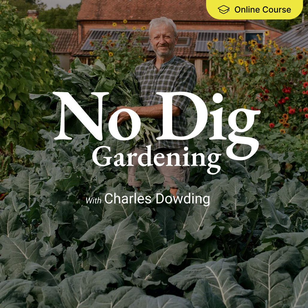 No Dig Gardening - Online Course