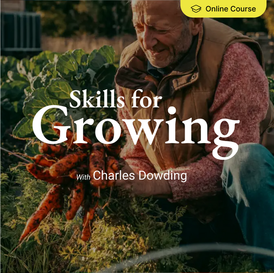 Skills For Growing - Online Course