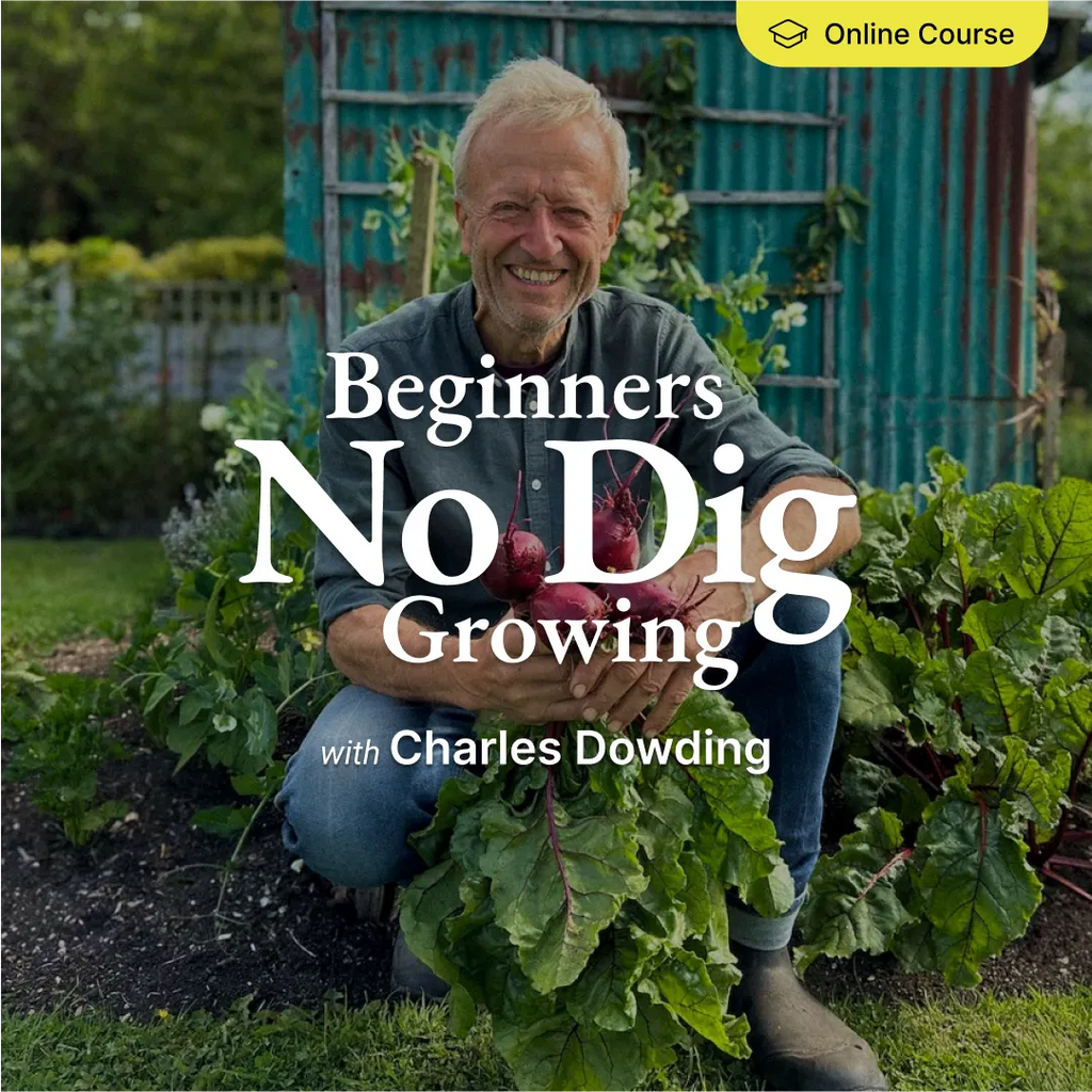 No Dig Growing for Beginners – Online Course