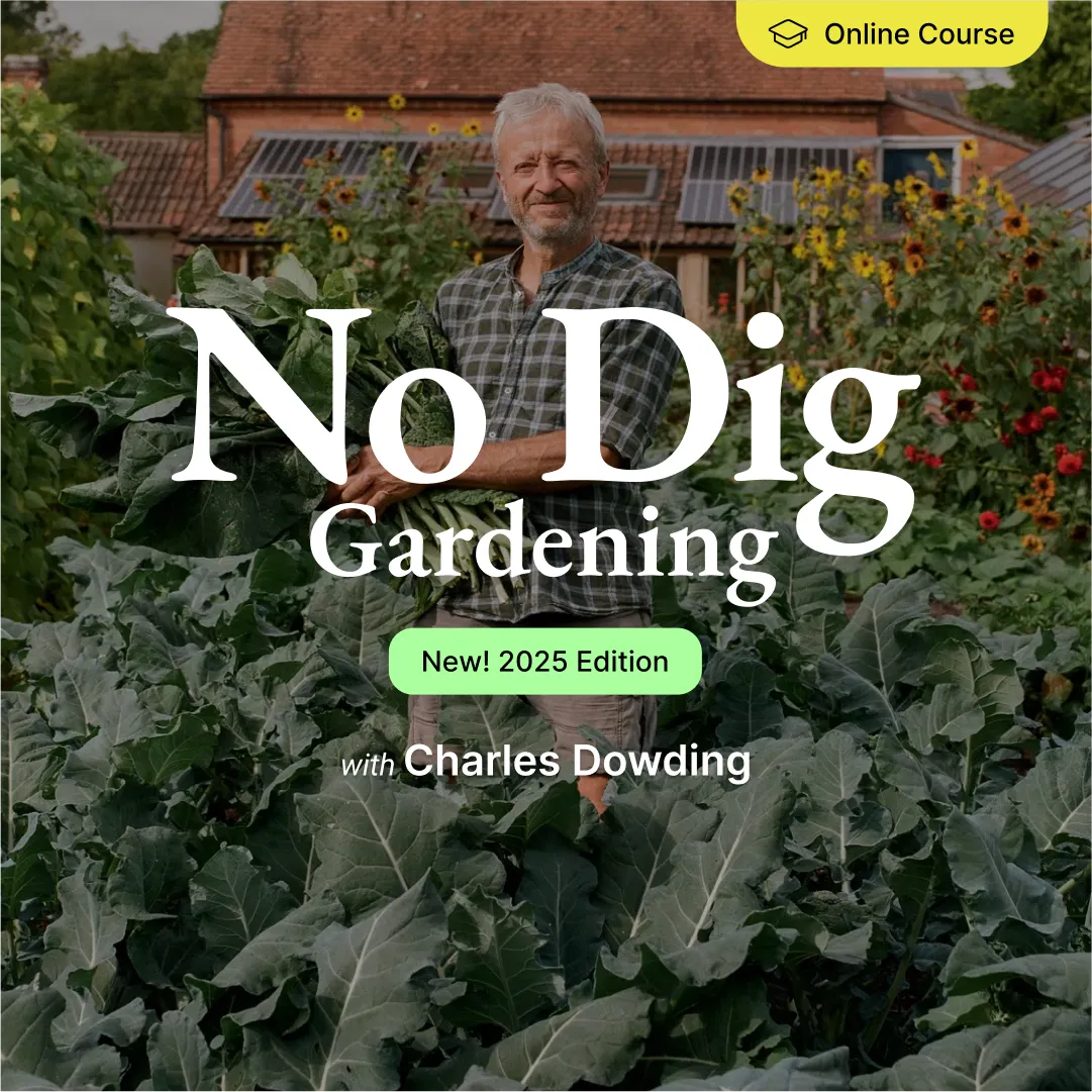 No Dig Gardening - Online Course (2025)