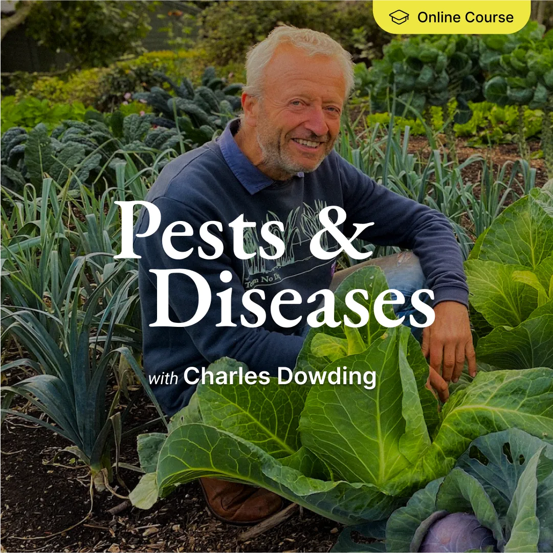 Pests and Diseases - Online Course