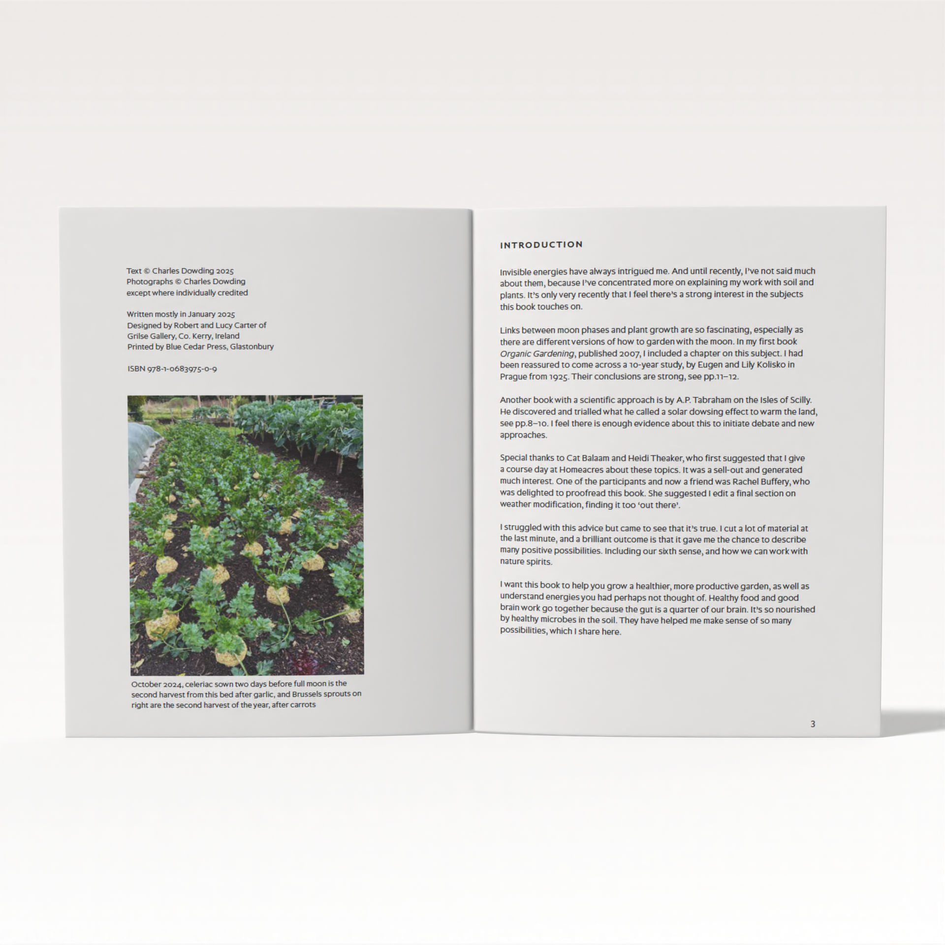 New Energies for Gardening (EBook)